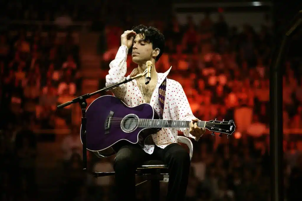 musicology live