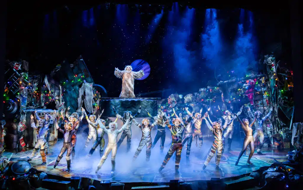Cast of CATS c Daniel Boud 244