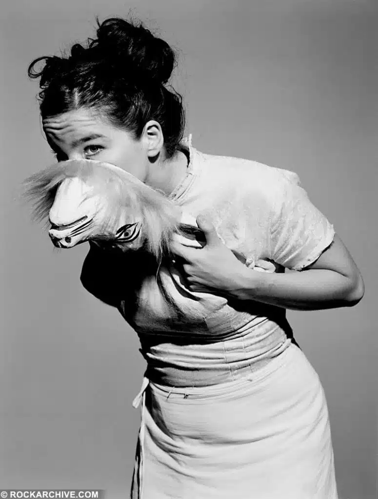bjork bjo001stdo